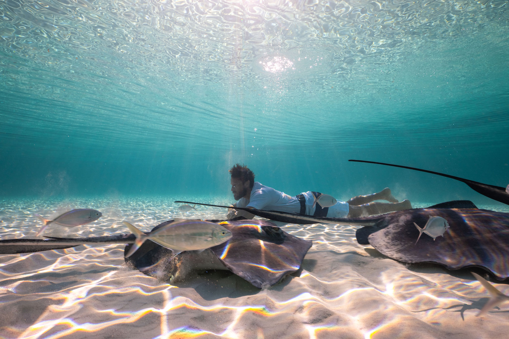 Dan Legend: Underwater Photographer Reveals the Mystery of Life Under the Sea