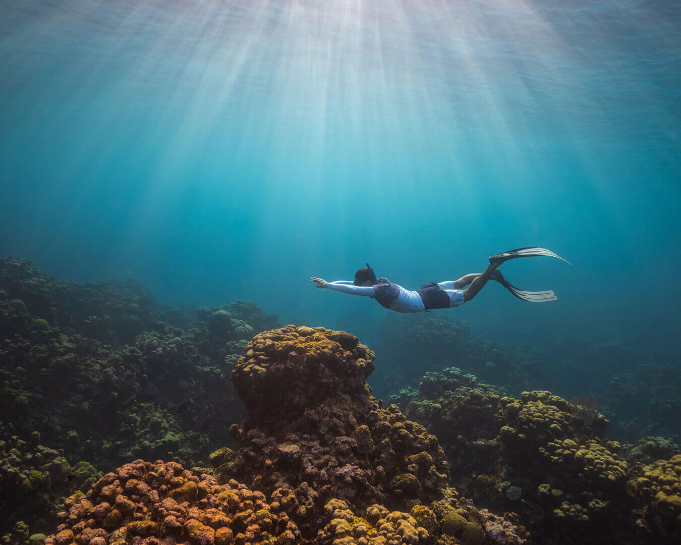 Person Diving in Blue Sea Wearing Sustainable Custom Rash Guard